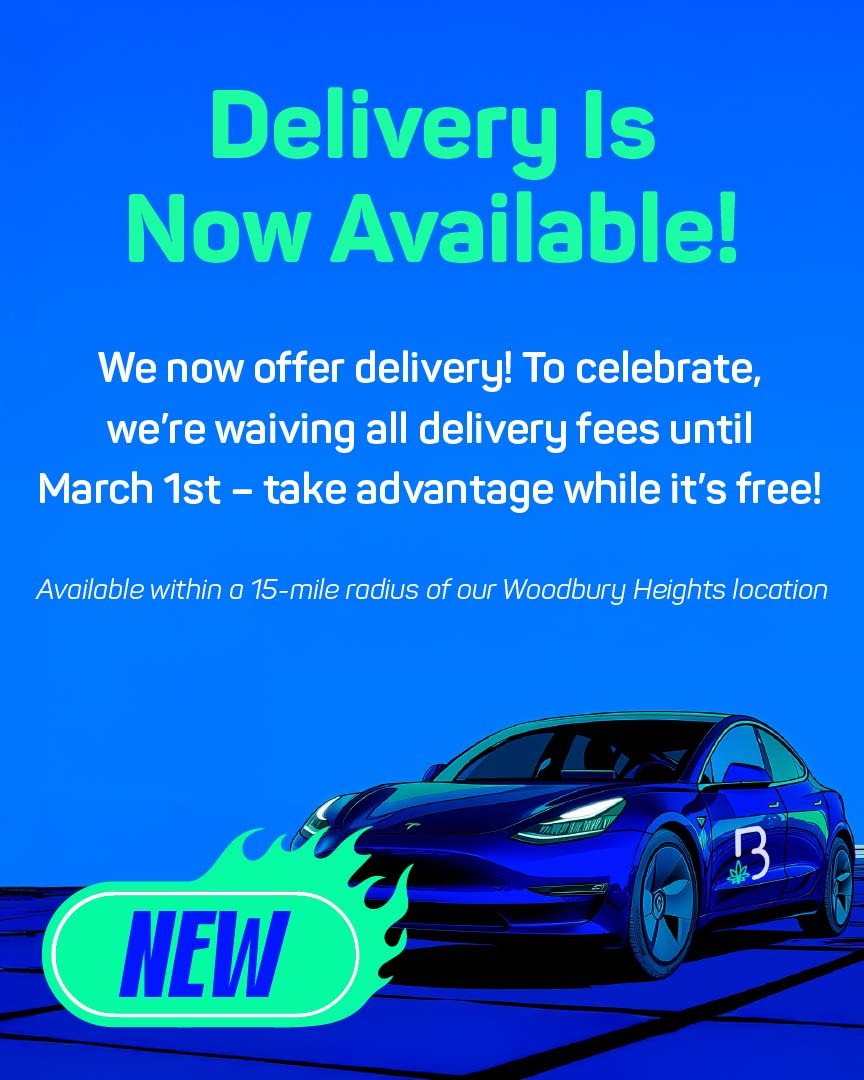 mobile-slider-delivery